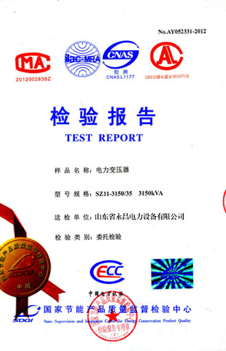 丹东电力变压器检测报告