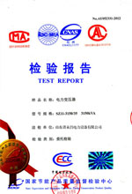 丹东电力变压器检测报告